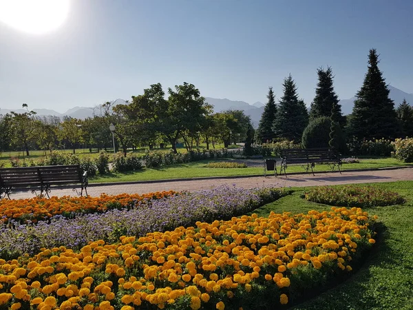 Herbst Park Der Stadt Almaty Republik Kasachstan — Stockfoto