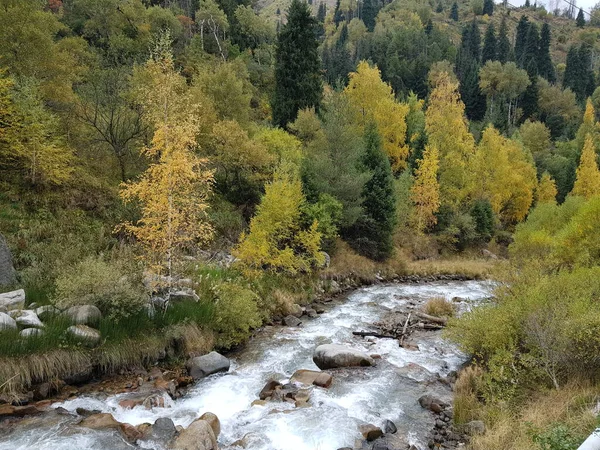 Krajobraz Górskim Lesie Jesienią Rano — Zdjęcie stockowe