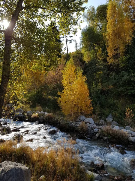 Landschaft Bergwald Warmen Herbst — Stockfoto
