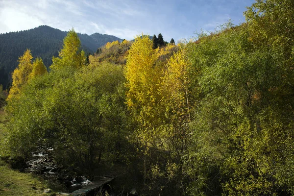 Krajobraz Górskim Lesie Ciepłą Jesienią — Zdjęcie stockowe