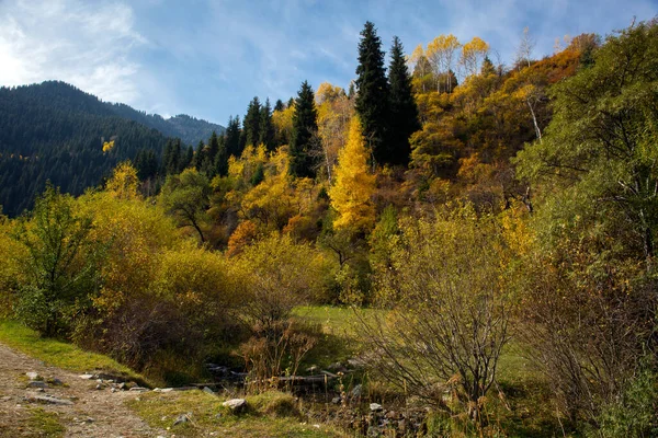 Krajina Horském Lese Teplém Podzimu — Stock fotografie