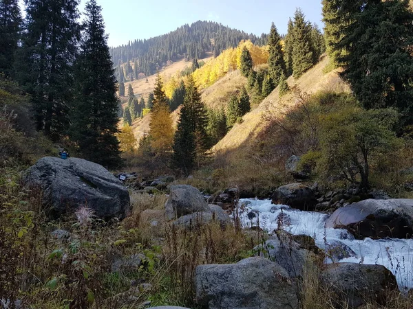 Landschap Met Een Rivier Een Bergbos Herfst — Stockfoto