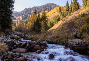 Sıcak sonbaharda, bir dağ ormanında nehir manzarası.