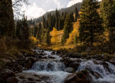 Sıcak sonbaharda, bir dağ ormanında nehir manzarası.