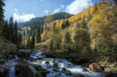Sıcak sonbaharda, bir dağ ormanında nehir manzarası.