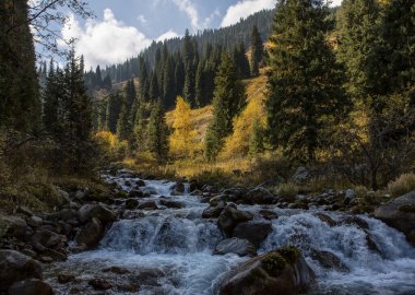 Sıcak sonbaharda, bir dağ ormanında nehir manzarası.
