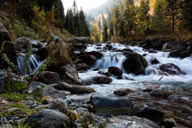 Sıcak sonbaharda, bir dağ ormanında nehir manzarası.