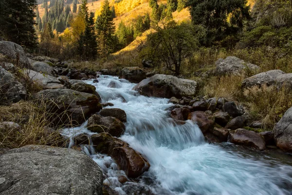 Sıcak sonbaharda, bir dağ ormanında nehir manzarası.