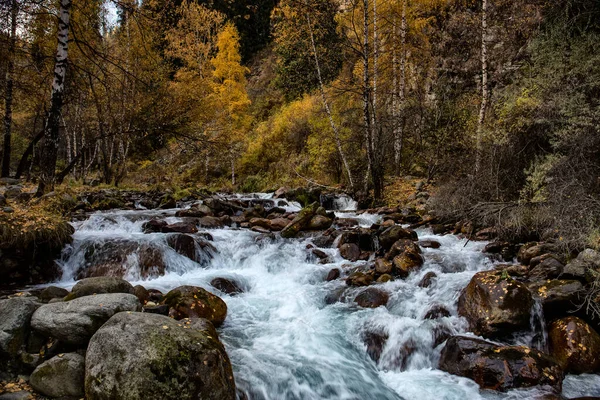 Landschap Met Een Rivier Een Bergbos Warme Herfst — Stockfoto