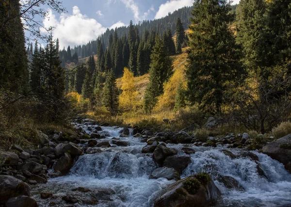 Landschap Met Een Rivier Een Bergbos Warme Herfst — Stockfoto