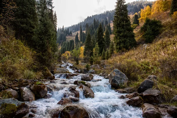 Landschap Met Een Rivier Een Bergbos Warme Herfst — Stockfoto