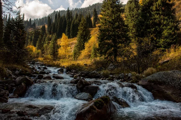 Paesaggio Con Fiume Una Foresta Montagna Nel Caldo Autunno — Foto Stock