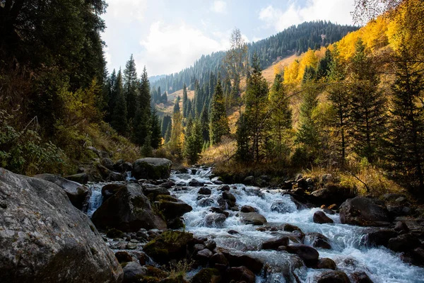 Sıcak sonbaharda, bir dağ ormanında nehir manzarası.