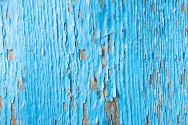 Çeşitli nesnelerin ve nesnelerin fotoğrafları