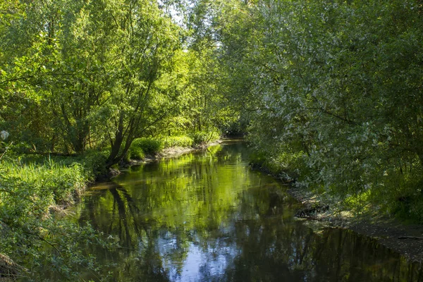 Niers River Geldern Alemanha — Fotografia de Stock