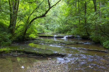 Gauchach Gorge, Black Forest, Germany clipart