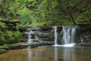 Gauchach Gorge, Kara Orman, Almanya