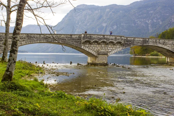 斯洛文尼亚河上的老石桥 Bohinjka — 图库照片