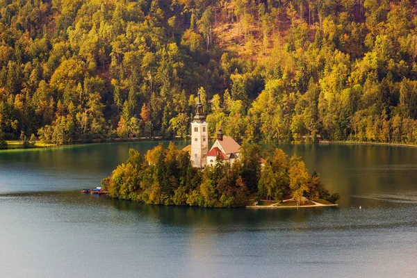 Iglesia Católica Una Isla Medio Del Lago Bled Eslovenia — Foto de Stock