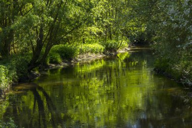 Niers Nehri, Geldern, Almanya