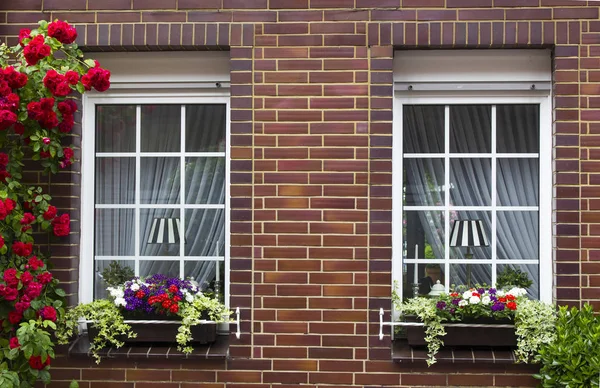 Mur Briques Avec Fenêtres Boîtes Fleurs Avec Plantes Fleurs Gueldre — Photo