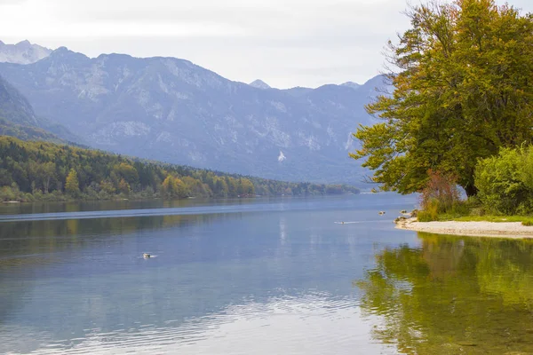 Bohinj Jezero Slovinsku — Stock fotografie