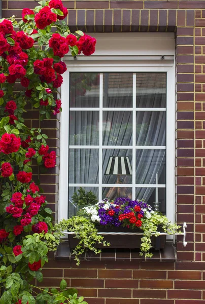 Цегляна Стіна Вікном Квітковими Коробками Квітковими Рослинами Гелдерн Німеччина — стокове фото