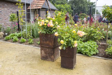 LOTTUM NETHERLANDS - 13 Ağustos 2016: Gül Festivali 2016