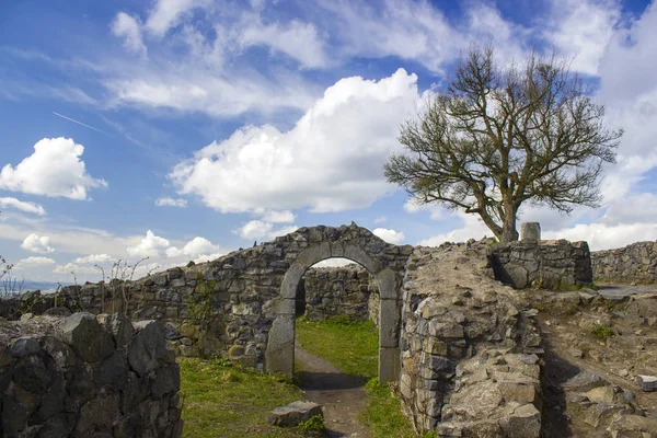 Ruinas Del Lwenburg Las Siete Montañas Siebengebirge Lado Bonn Alemania — Foto de Stock