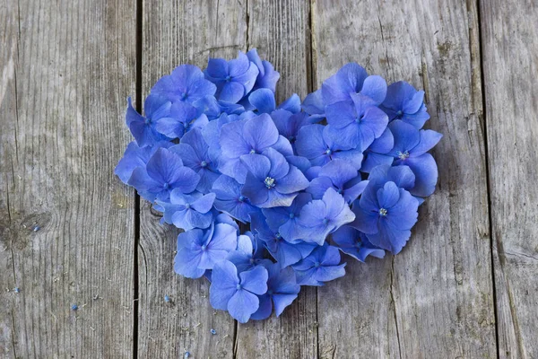 Mavi HORTENSIA yaprakları ahşap masa üzerinde Vintage yürekten