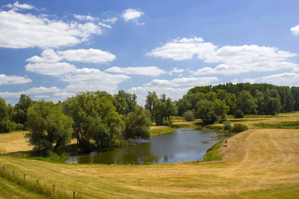 Rhine, Hollanda, Gelderland boyunca floodplains