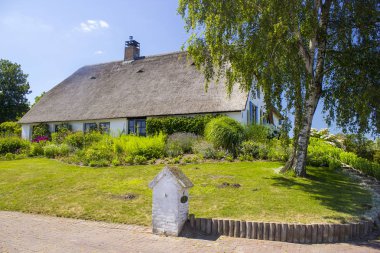 Yeşil bahçe ile hasır çatılı tipik Hollanda ev. Kır evi, Gelderland, Hollanda