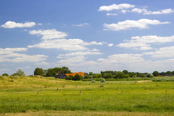 Paysage Comté Aux Pays Bas Près Ooij Gueldre — Photo