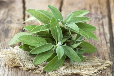 Ahşap arka plan üzerinde taze adaçayı