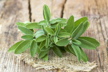 Ahşap arka plan üzerinde taze adaçayı