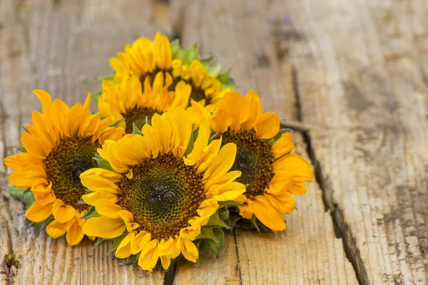 Sonnenblumen Auf Holzgrund Helianthus — Stockfoto