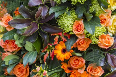 arka plan - gül ve gerbera çiçekleri