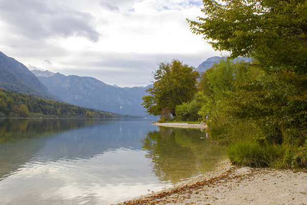 Bohinj lake in Slovenia -  trees on the lake bank, autumn landscape