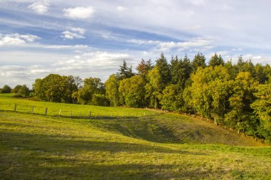 Almanya 'nın Aşağı Ren Bölgesinde Sonbahar