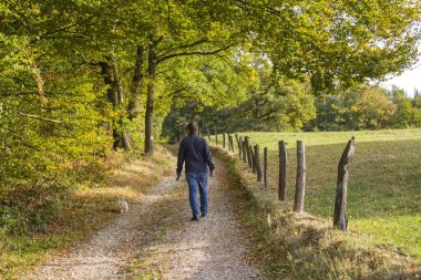  ormandaki bir köpekle yürüyen adam