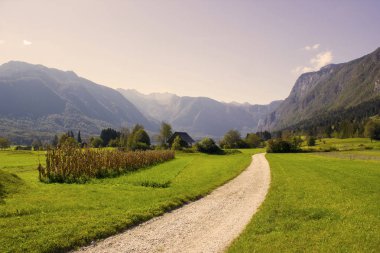 Julian Alps - Slovenya Bled Gölü çevresindeki panorama