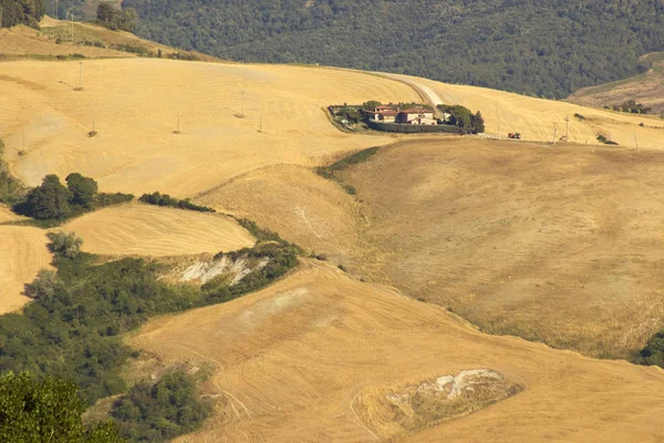 Uitzicht Typisch Toscaans Landschap Zomer Italië — Stockfoto