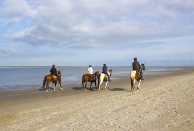 Renesse, Zeeland, Hollanda sahilde ata biniciler