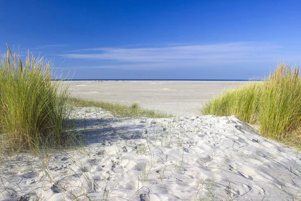 Kum tepeleri, Renesse, Zeeland, Hollanda