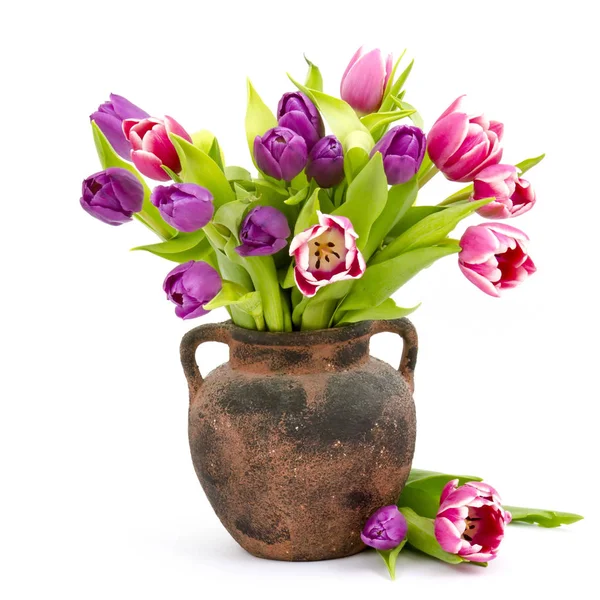 Pestrobarevné Tulipány Váze Izolovaných Bílém Pozadí — Stock fotografie