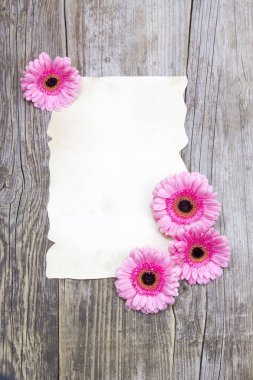 pembe gerbera ve ahşap bir masa, vintage tarzı boş kağıda