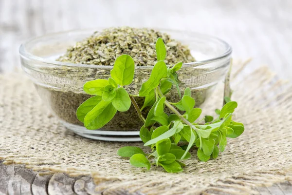 taze ve kurutulmuş marjoram. 
