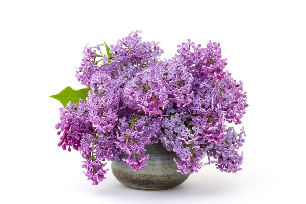 Blooming Lilac Flowers Macro Photo — Stock Photo, Image