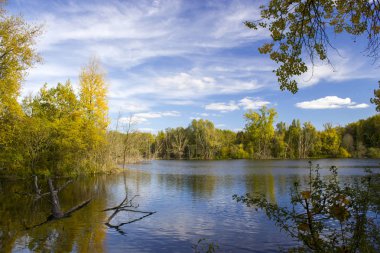 Doğa rezervi Bislicher Insel, Aşağı Ren Bölgesi, Almanya