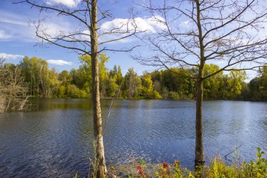 Doğa rezervi Bislicher Insel, Aşağı Ren Bölgesi, Almanya